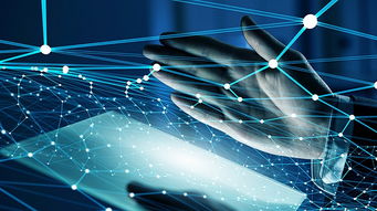 互联网信息服务严重失信主体信用信息管理办法公开征求意见