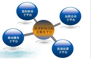 互联网益民服务的杭州样本 数字化重塑便民生态